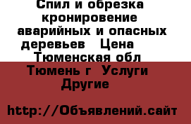 Спил и обрезка (кронировение) аварийных и опасных деревьев › Цена ­ 1 - Тюменская обл., Тюмень г. Услуги » Другие   